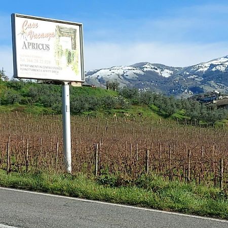 La Loggetta Di Apricus Vila Olevano Romano Exterior foto