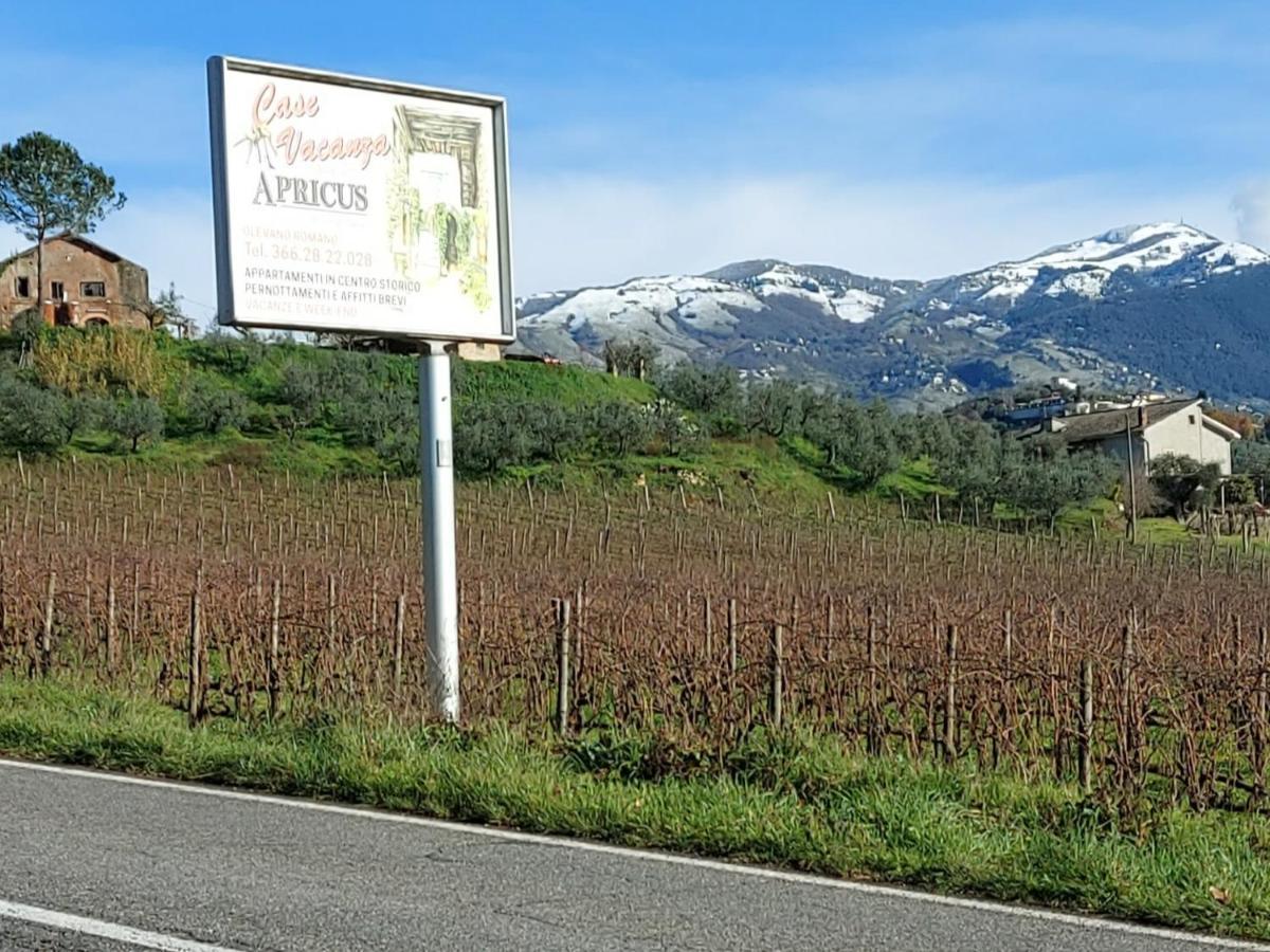 La Loggetta Di Apricus Vila Olevano Romano Exterior foto